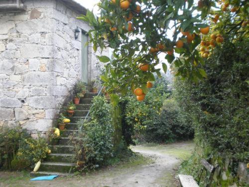 Hotel Quinta De S.Vicente Geraz do Minho Exteriér fotografie